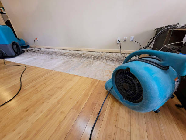 Reliable Flood Damage Restoration contractor in New London, CT by Hirex Water Damage